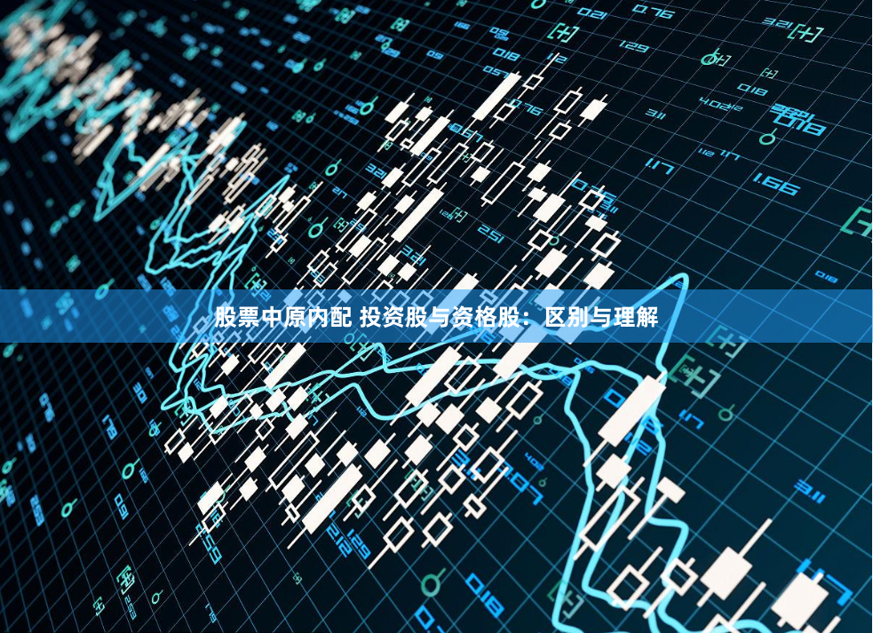 股票中原内配 投资股与资格股：区别与理解